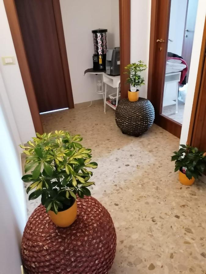 Giuseppe House Apartment Pisa Exterior photo