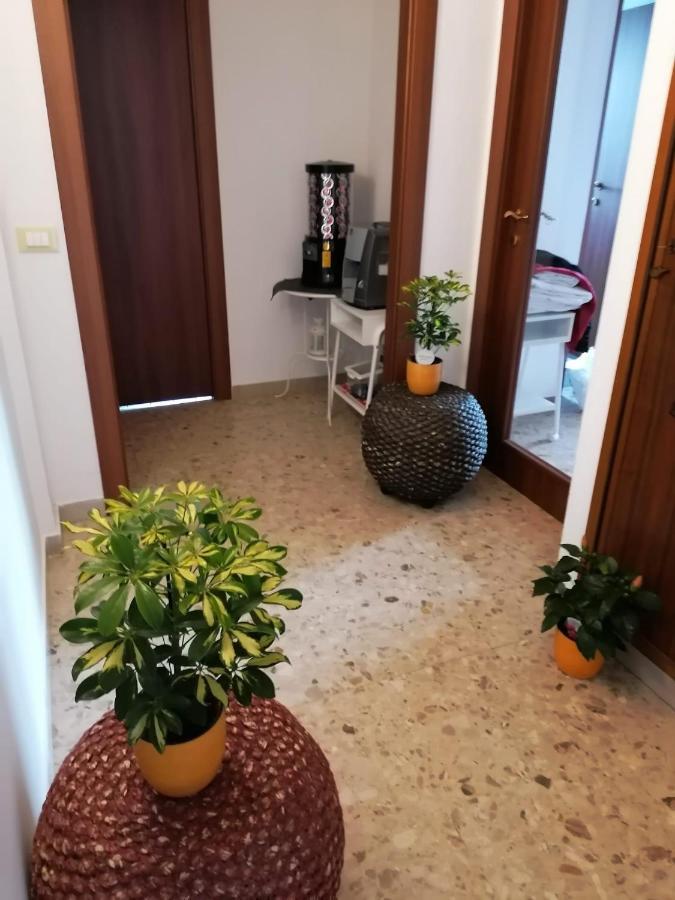 Giuseppe House Apartment Pisa Exterior photo